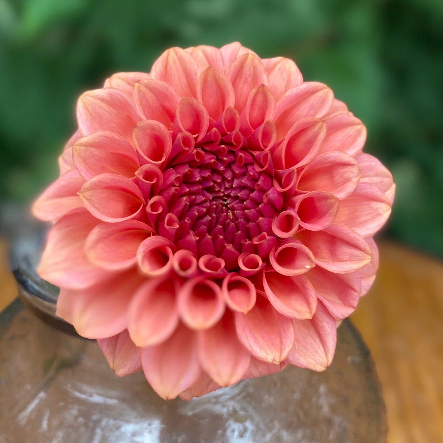 Levi’s Blue Smoke (Limit 2)