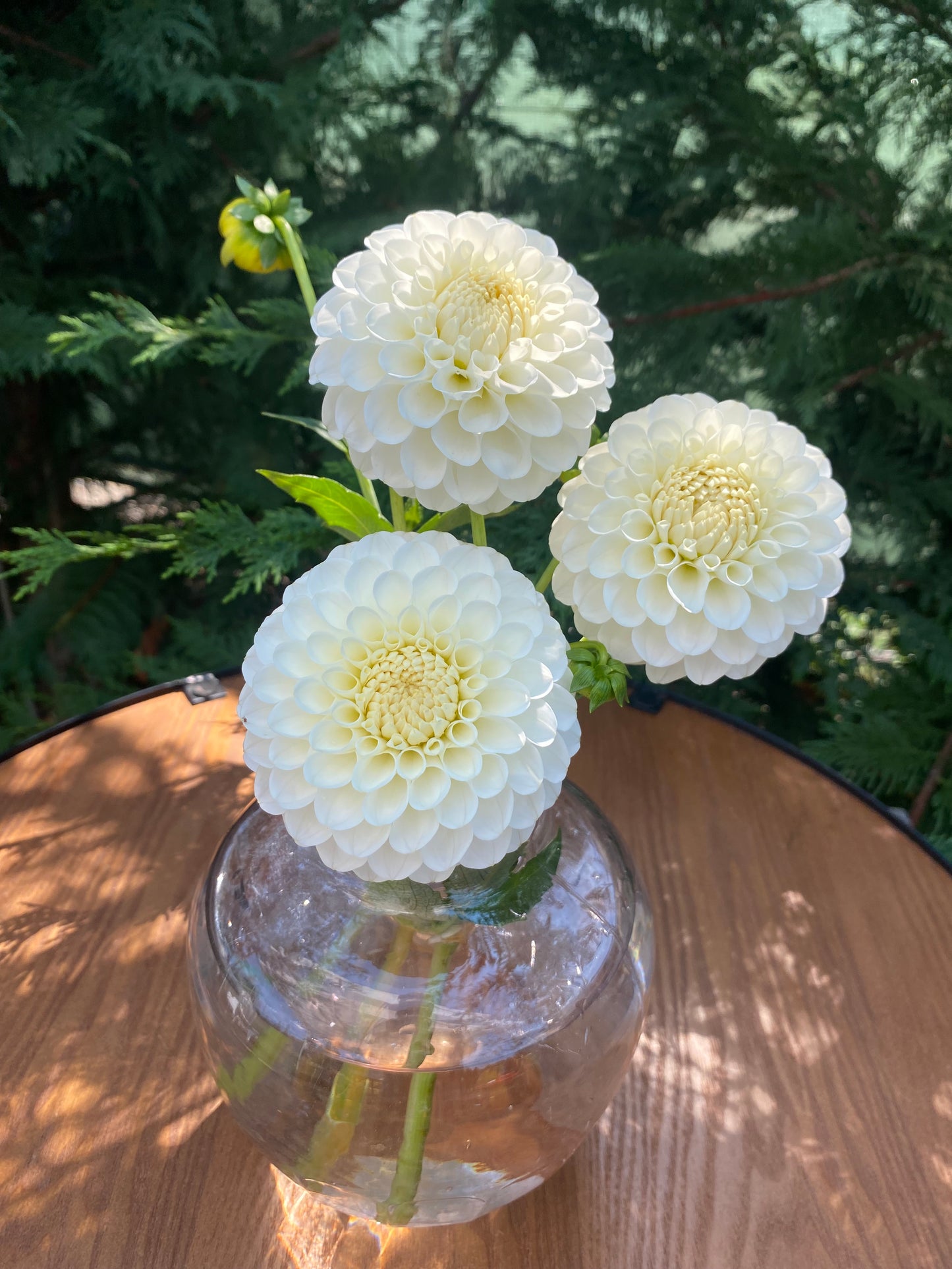 20th Ave & Baker Road