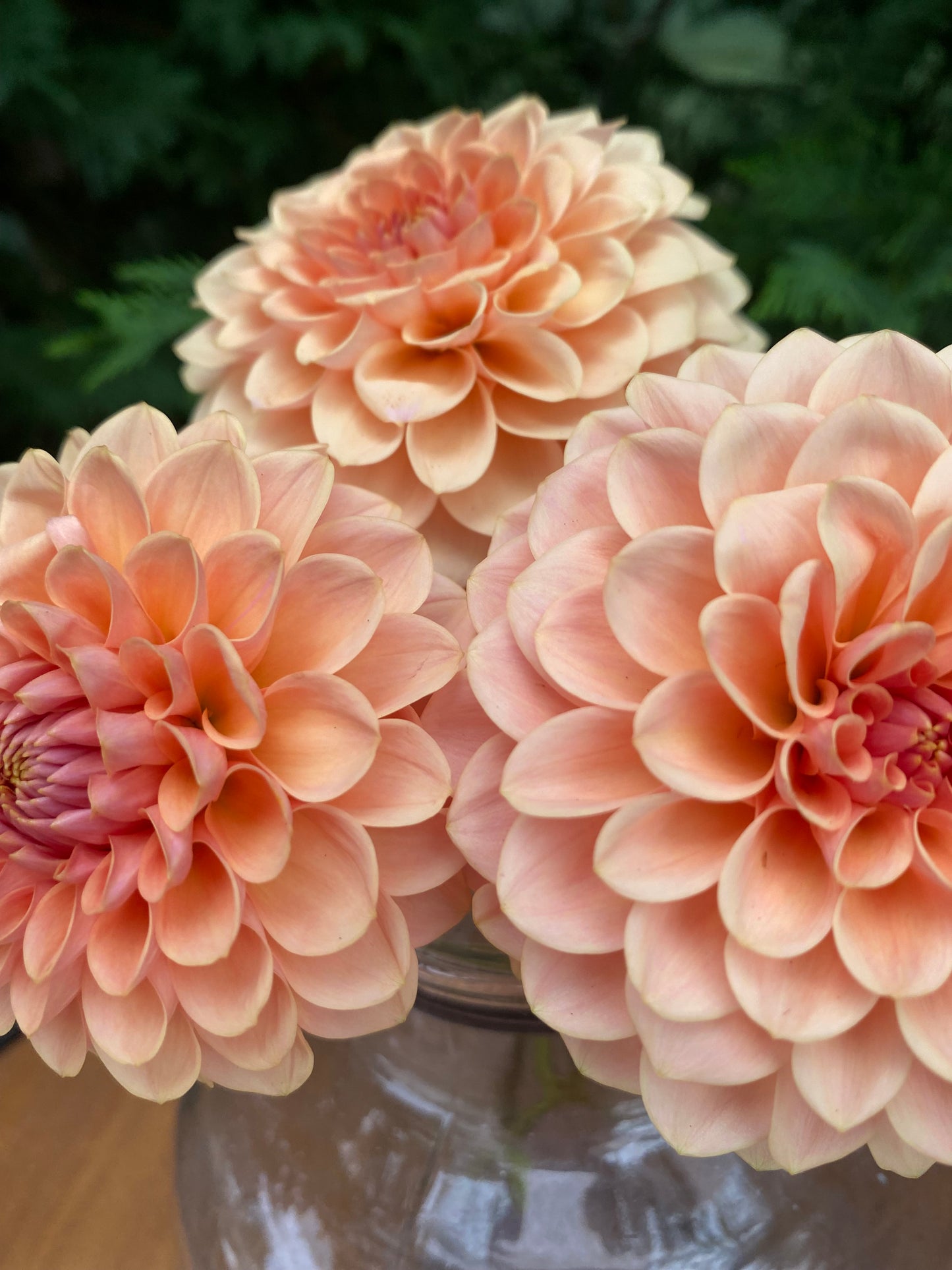 Verrone’s Socrates