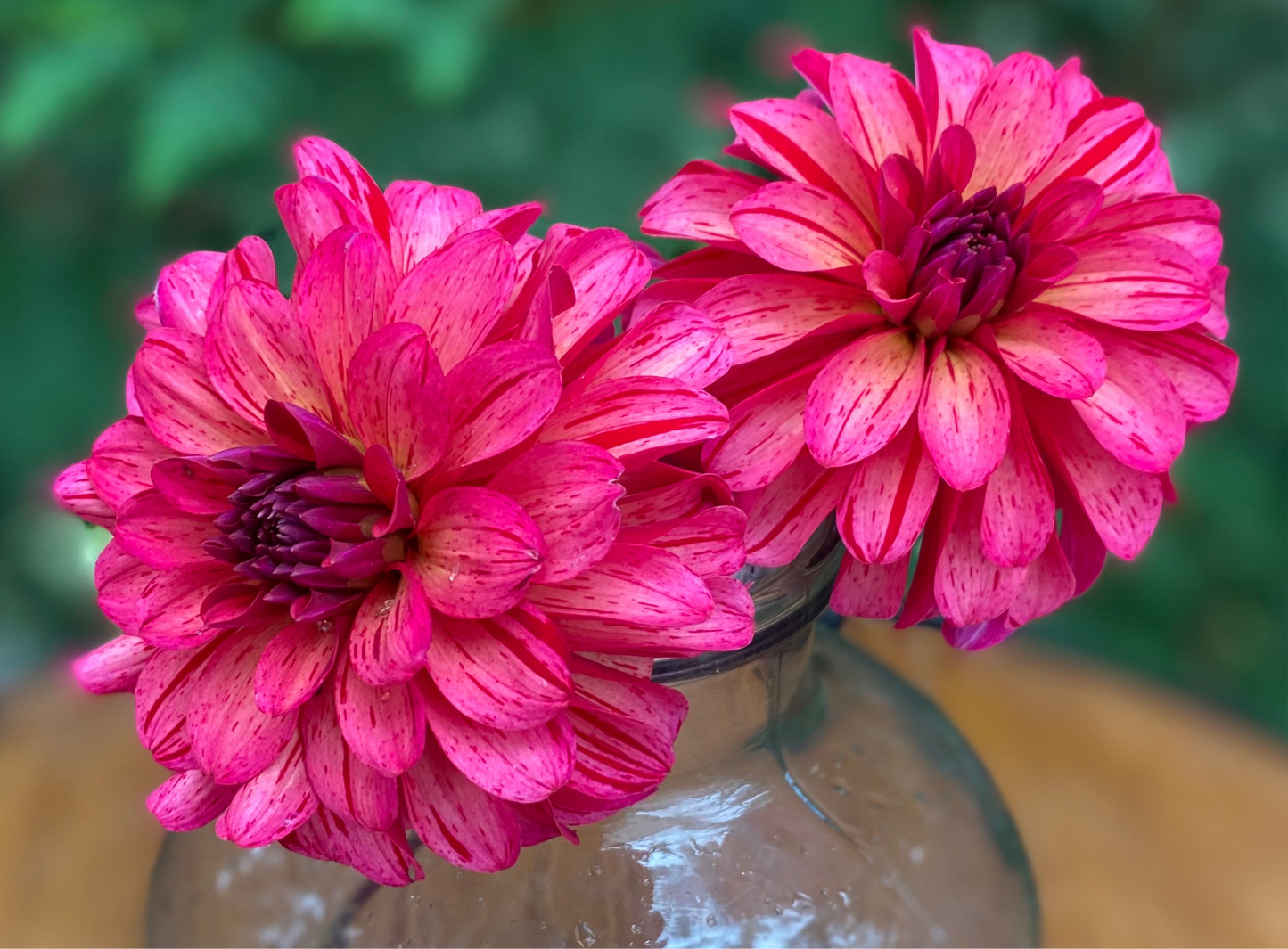 WB’s Bailey Dawn (Limit 1)