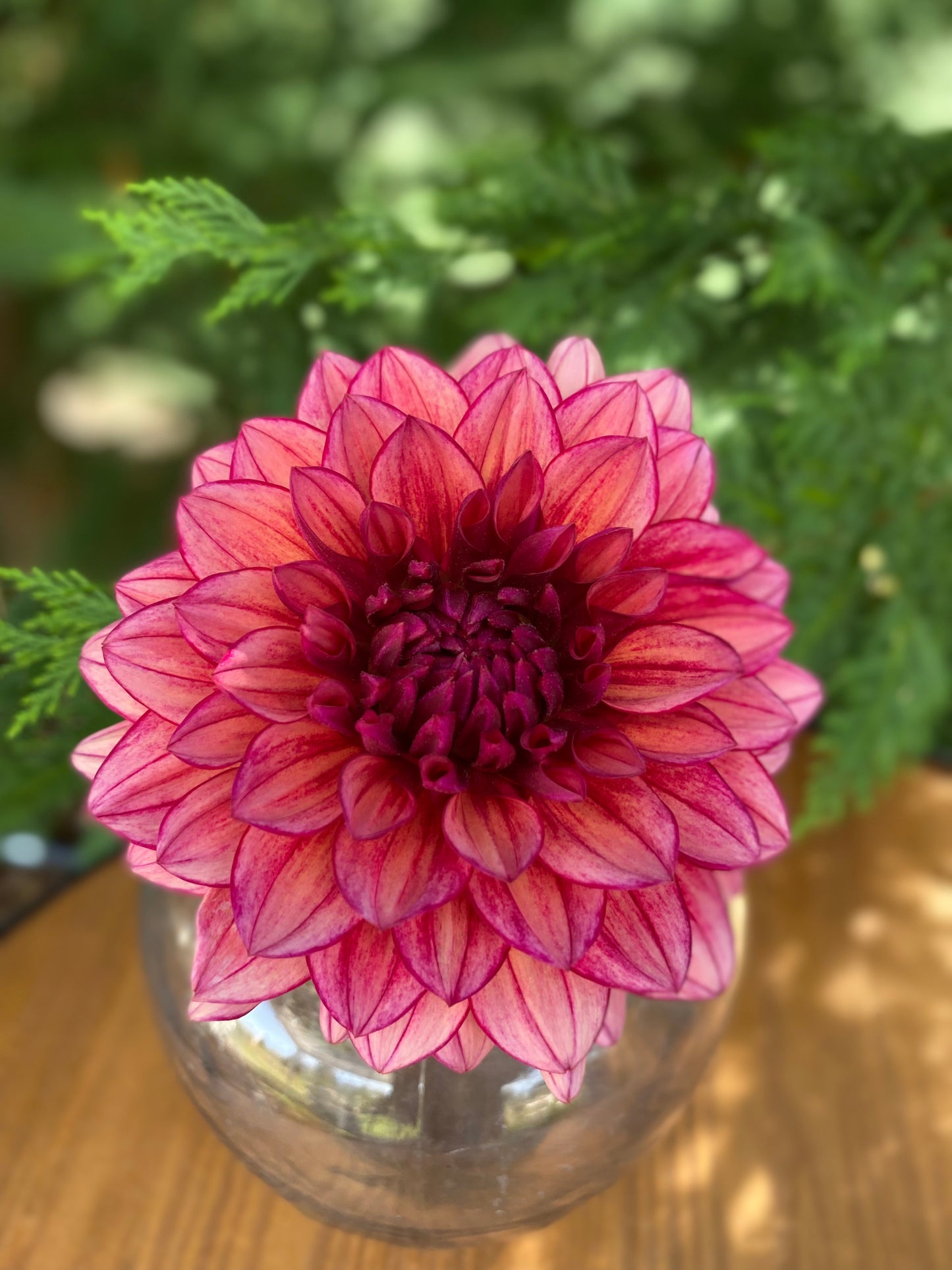 New Year 2026 Collection #41