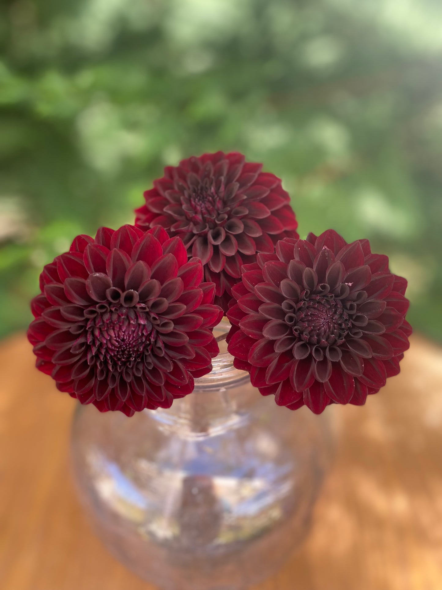 River’s Dark Chocolate (Limit 1)