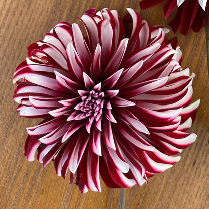 Irish Blackheart & Pink Sport Irish Blackheart