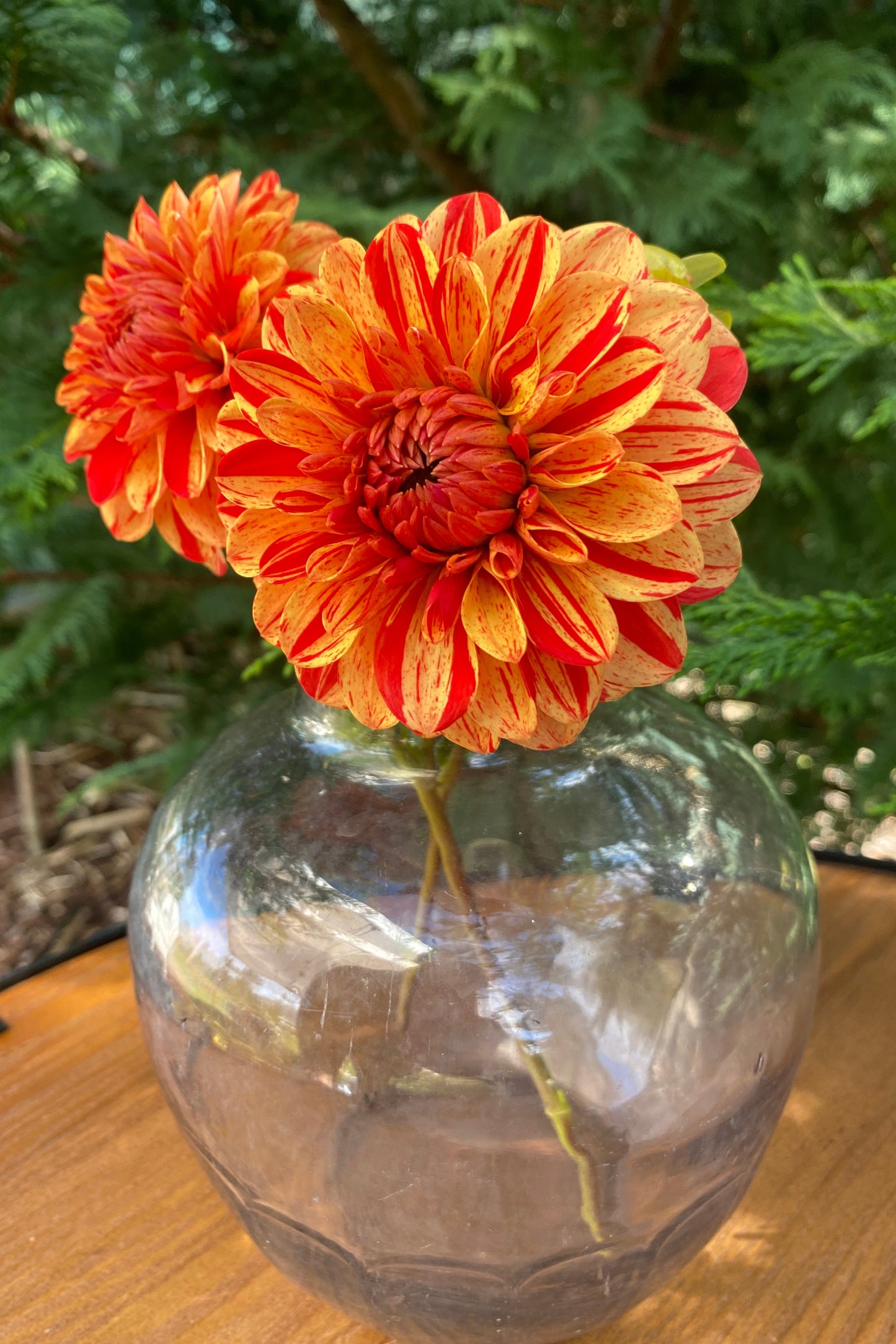 Jowey Nice (Limit 1)