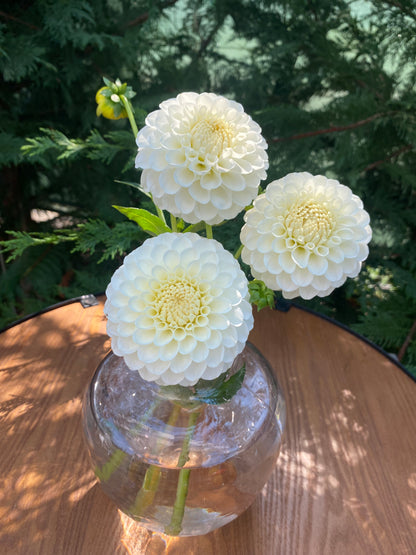 20th Ave  & Baker Road