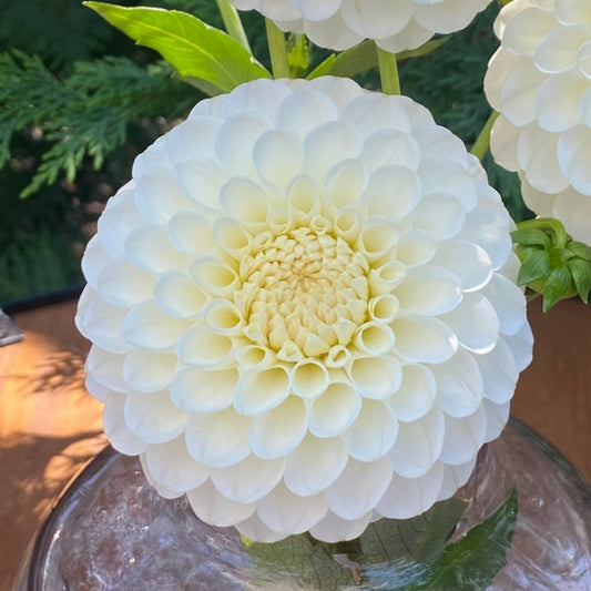 20th Ave  & Baker Road